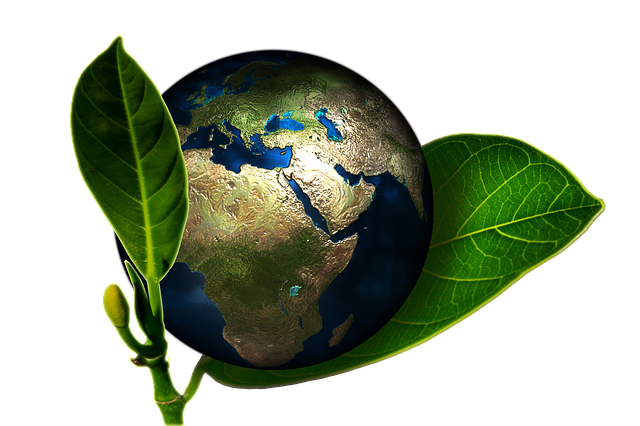 Fundación Biodiversidad protege la capa de ozono