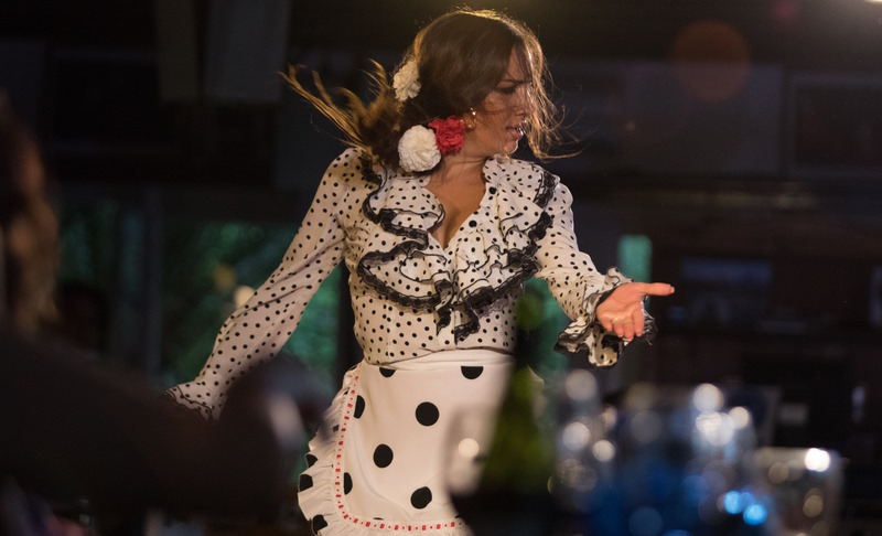 opiniones sobre el espectáculo flamenco de jardines de zoraya en Granada